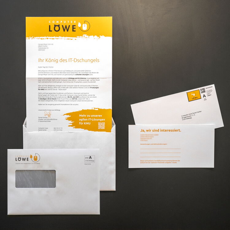 Werbemailing für Computer Löwe